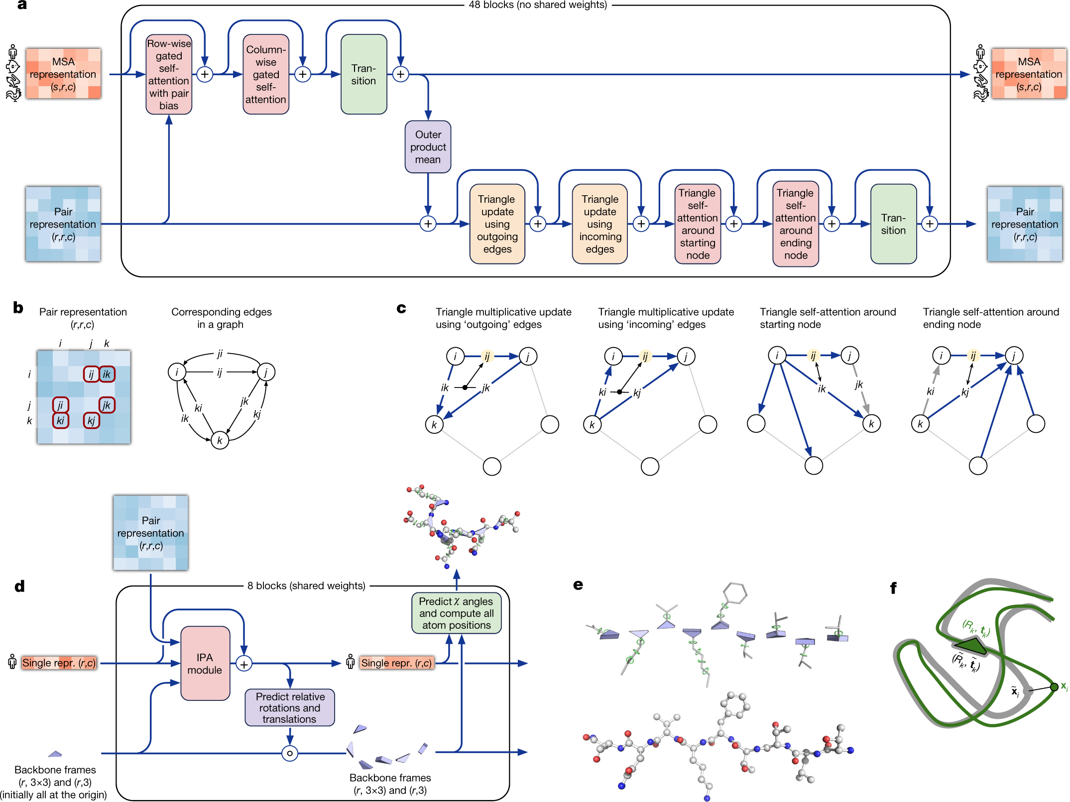 AlphaFold published figure: pair representations, triangle updates and structural frames.