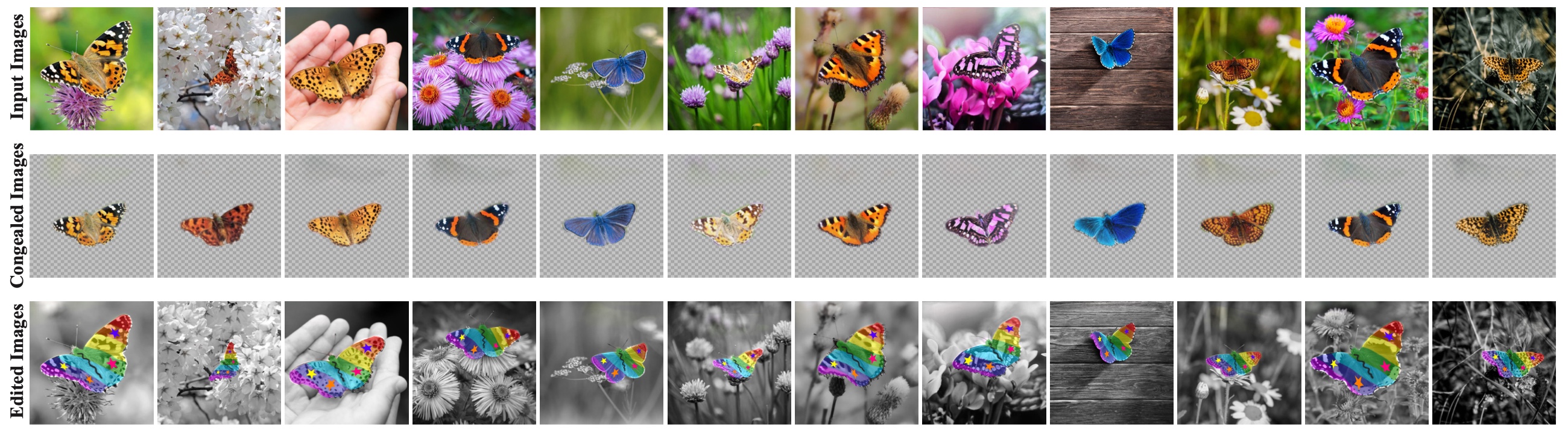 Neural Congealing published figure: corresponding butterfly parts stay aligned and receive the same transferred edit.