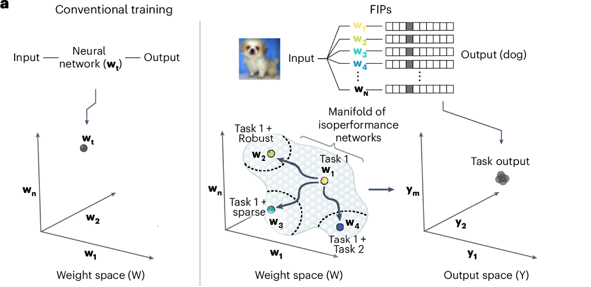 Functionally invariant paths — Figure 1a. Compare the separated weight-space locations with the tightly grouped task outputs at the right.