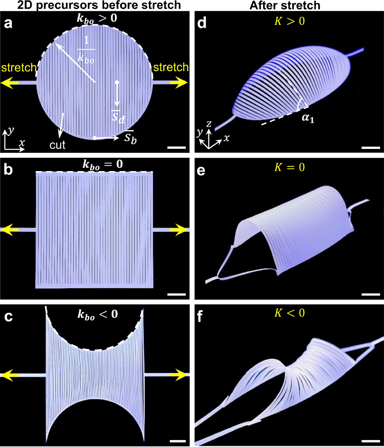 Shape-morphing kirigami — Figure 1a–f. Read across each row: circular, straight, and inward-curved cut boundaries become three different 3D curvature types.