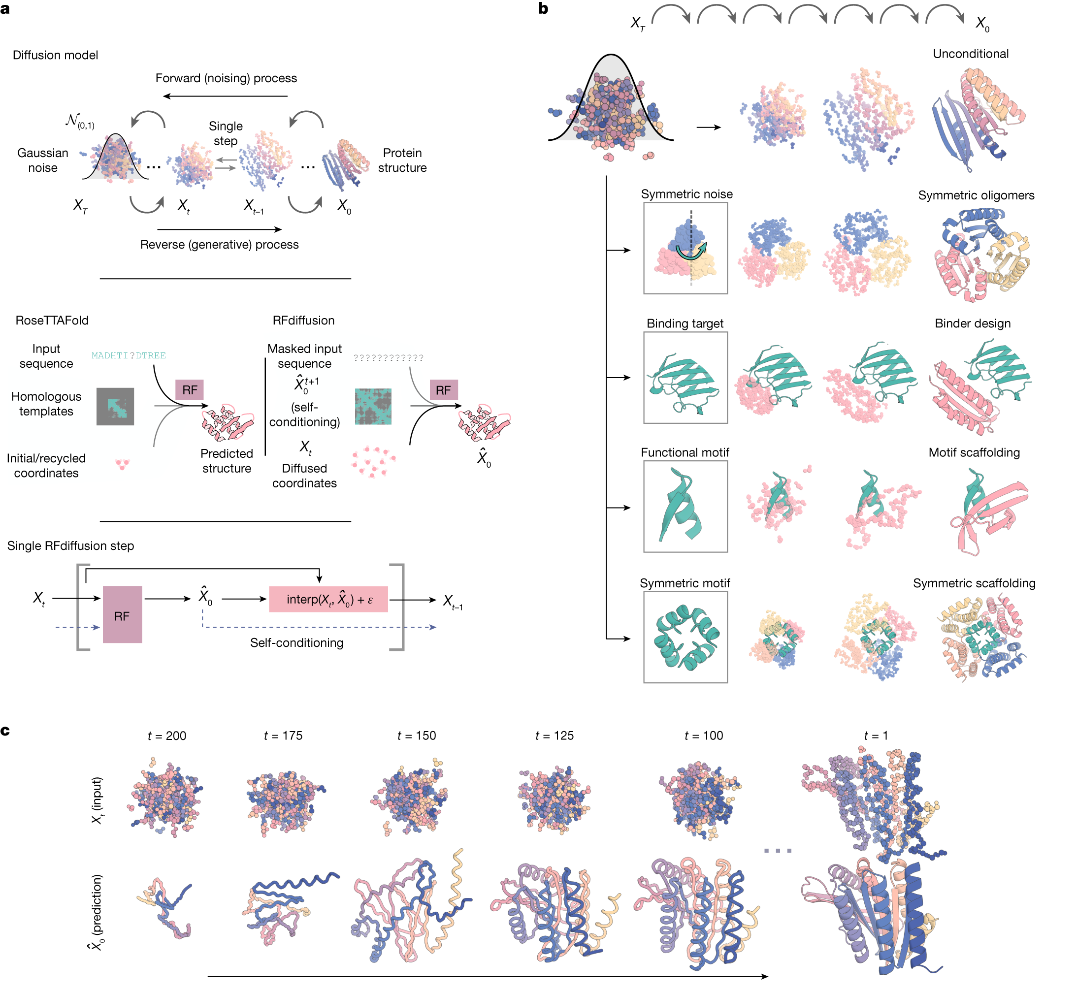 RFdiffusion — Figure 1. Read the noising/reverse-generative sequence in a, then identify the fixed conditioning object in each row of b.